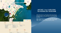 Luvista Quy Nhơn – Cơ hội sở hữu căn hộ gần biển với giá trị thực và tiềm năng tăng trưởng